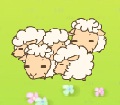 Bảo vệ Cừu non